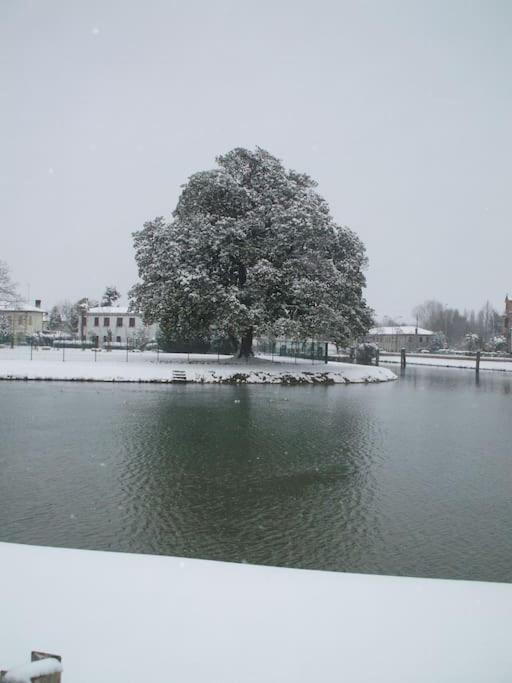 Villa Olanda Mira Exteriör bild