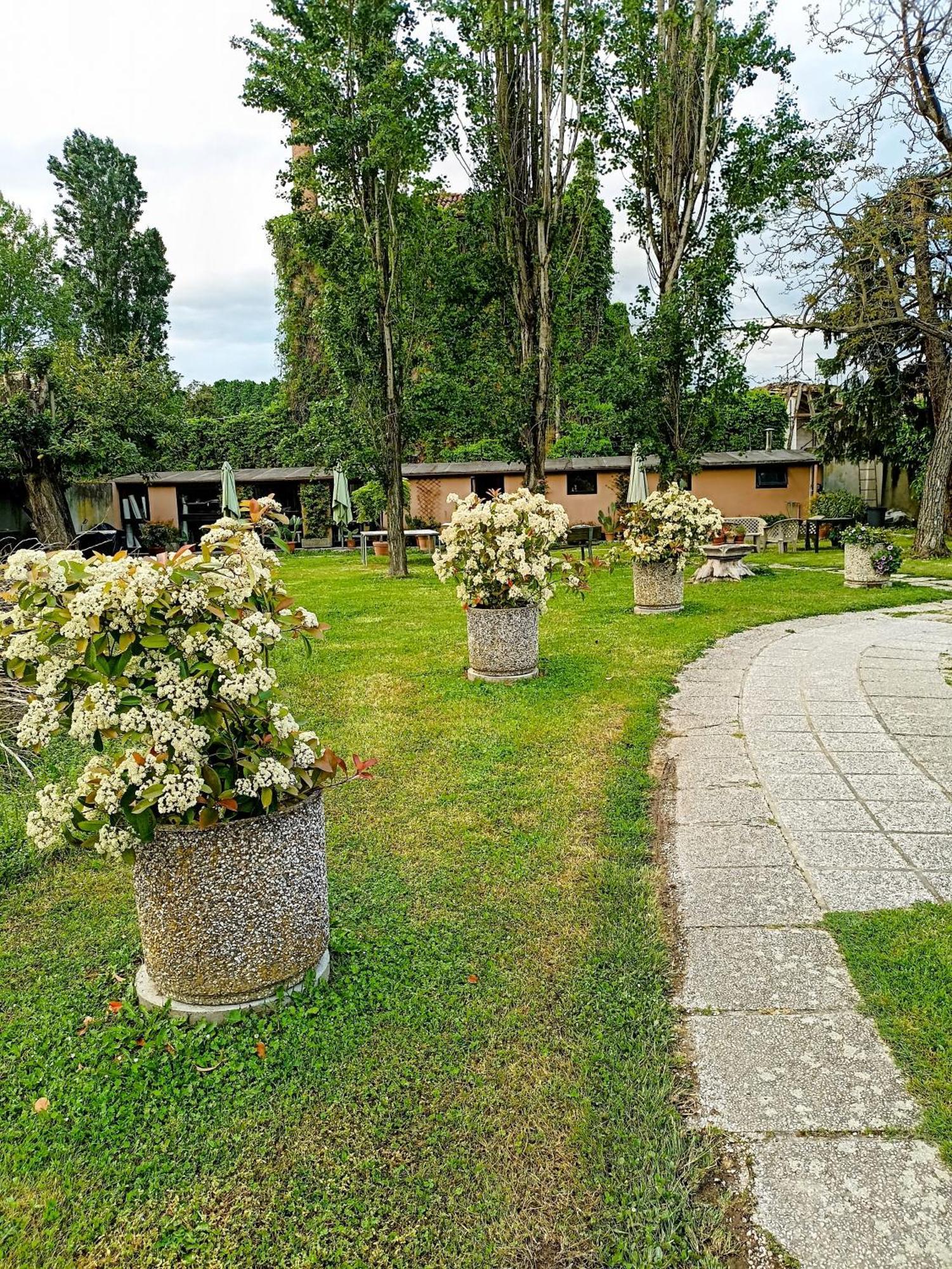 Villa Olanda Mira Exteriör bild